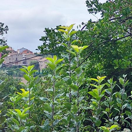 Piso Rural Sol Bergueda Apartment Avia Bagian luar foto